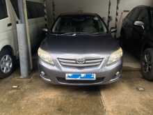Toyota Corolla 141 2010 Car