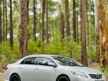 Toyota Corolla 141 2008 Car