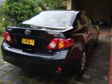 Toyota Corolla 141 2008 Car