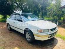 Toyota Corolla 1996 Car