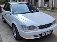 Toyota Corolla 1999 Car