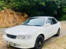 Toyota Corolla 2000 Car