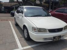 Toyota Corolla 1999 Car