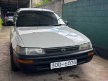 Toyota Corolla Elephant Back 1995 Car