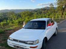 Toyota Corolla 1996 Car