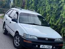 Toyota Corolla Elephant Back 1996 Car