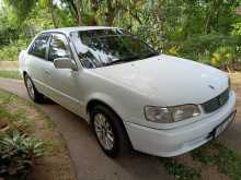 Toyota Corolla 1998 Car