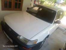 Toyota Corolla 1998 Car