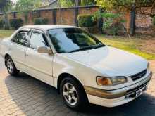Toyota Corolla 1998 Car
