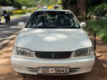 Toyota Corolla 1999 Car