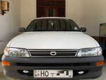 Toyota Corolla Elephant Back 2000 Car