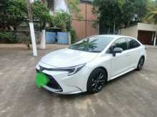 Toyota Corolla 2023 Car
