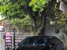 Toyota Corolla 2024 Car
