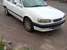 https://riyasewana.com/uploads/toyota-corolla-241213524341.jpg