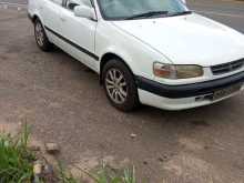 https://riyasewana.com/uploads/toyota-corolla-241213524693.jpg