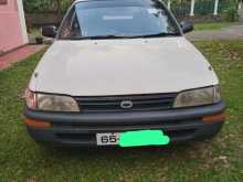 Toyota Corolla 2000 Car
