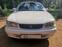 Toyota Corolla 1999 Car