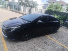 Toyota Corolla 2023 Car