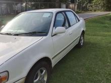 https://riyasewana.com/uploads/toyota-corolla-30926516044.jpg