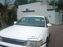 Toyota Corolla 1992 Car