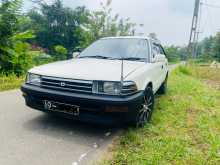 Toyota Corolla 96 Wagon 1991 Car