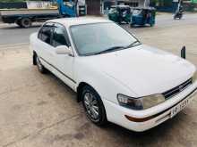 Toyota Corolla AE100 1991 Car