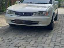 Toyota COROLLA AE110 RIVIERE 1999 Car