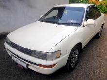 Toyota Corolla AE100 1991 Car