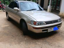Toyota Corolla Ae100 1992 Car