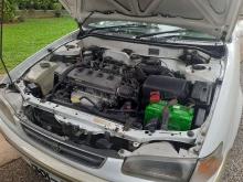 https://riyasewana.com/uploads/toyota-corolla-ae110-19228316336.jpg