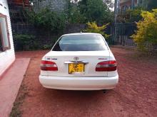 Toyota Corolla AE110 2001 Car