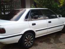 https://riyasewana.com/uploads/toyota-corolla-ae91-281855354293.jpg