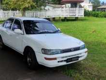 Toyota Corolla CE100 1992 Car