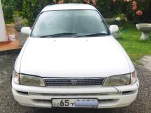 Toyota Corolla CE100 1995 Car