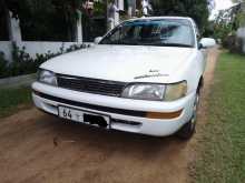 Toyota Corolla CE100 1996 Car