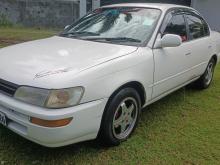 Toyota Corolla CE100 1992 Car