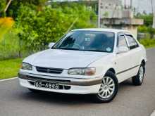 https://riyasewana.com/uploads/toyota-corolla-ce110-1996-2612162612652.jpg