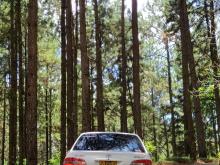 Toyota Corolla CE110 1998 Car