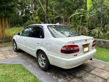 https://riyasewana.com/uploads/toyota-corolla-ce110-23164802244.jpg