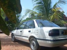 https://riyasewana.com/uploads/toyota-corolla-ce90-1213295717375.jpg