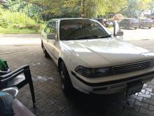 Toyota Corolla Corona 1988 Car