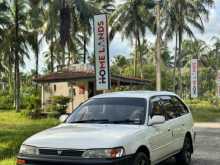 Toyota Corolla DX Wagon Elephant Back 1991 Car