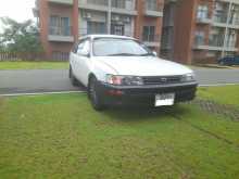 Toyota Corolla Dx Wagon Elephant Back 1996 Car