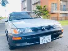 Toyota Corolla Dx Wagon Elephant Back 1996 Car