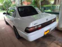 https://riyasewana.com/uploads/toyota-corolla-ee100-8204726882.jpg
