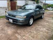 Toyota Corolla EE101 1992 Car