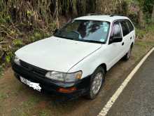 Toyota Corolla EE102 DX Wagon 1998 Car