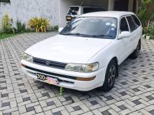 Toyota Corolla EE102 ELEPHANT BACK 1995 Car