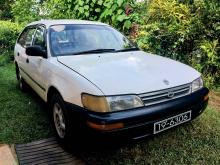 Toyota Corolla EE106 Elephant Back 1993 Car