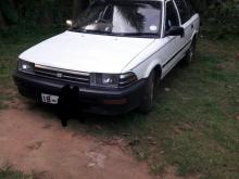 Toyota Corolla EE96 Wagon 1991 Car